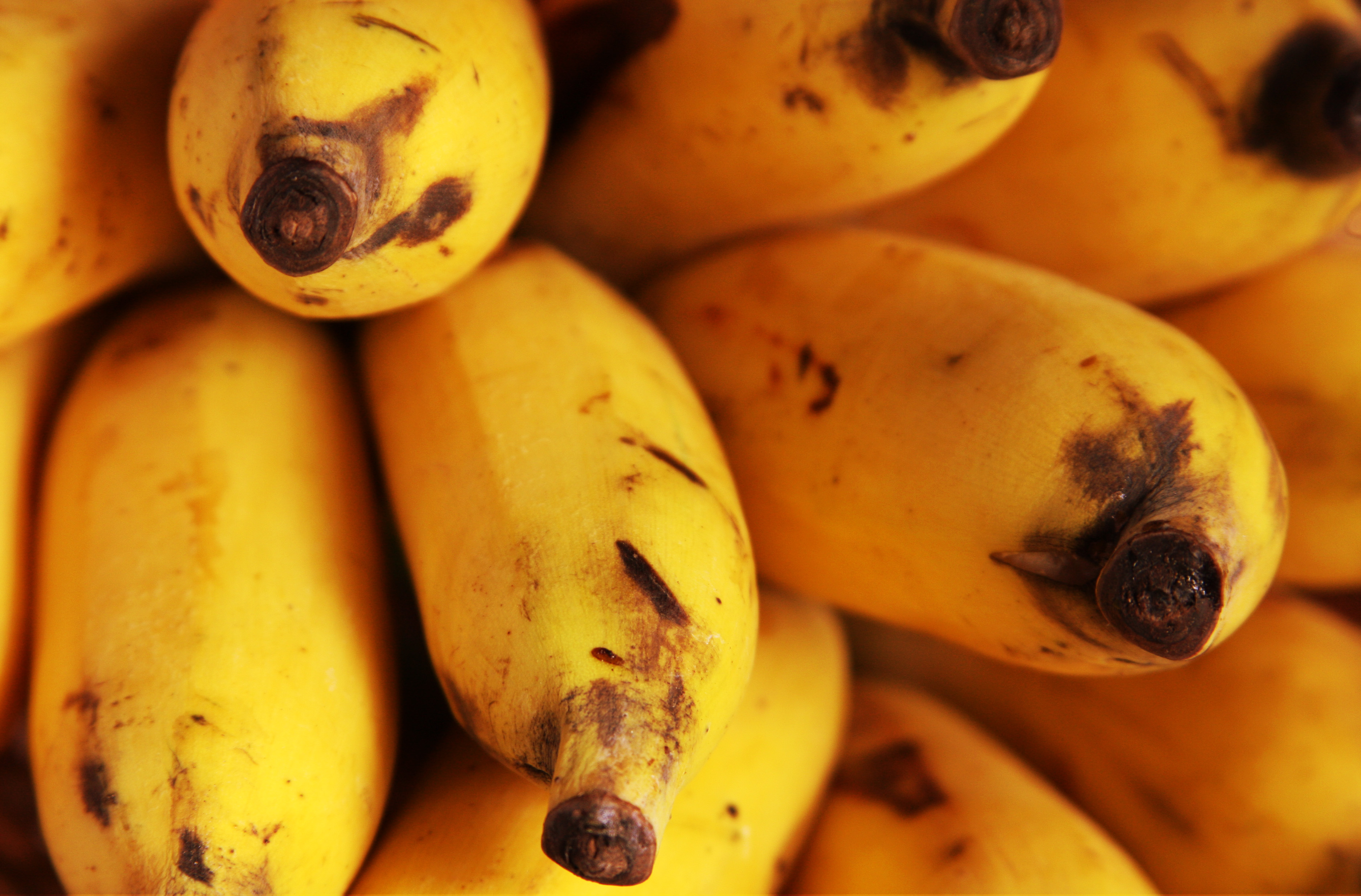 Bananen | Gesunde Gewohnheiten